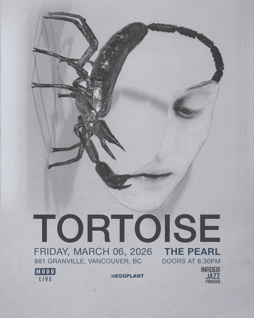 Tortoise at the Pearl